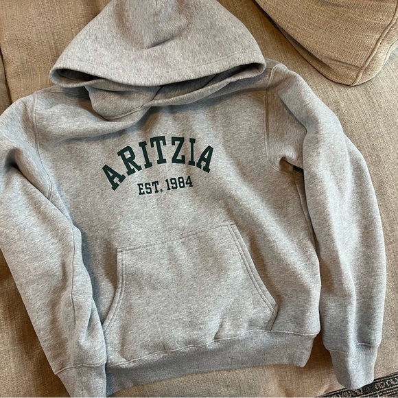 Aritzia Gray Hoodie - Picture 1 of 1
